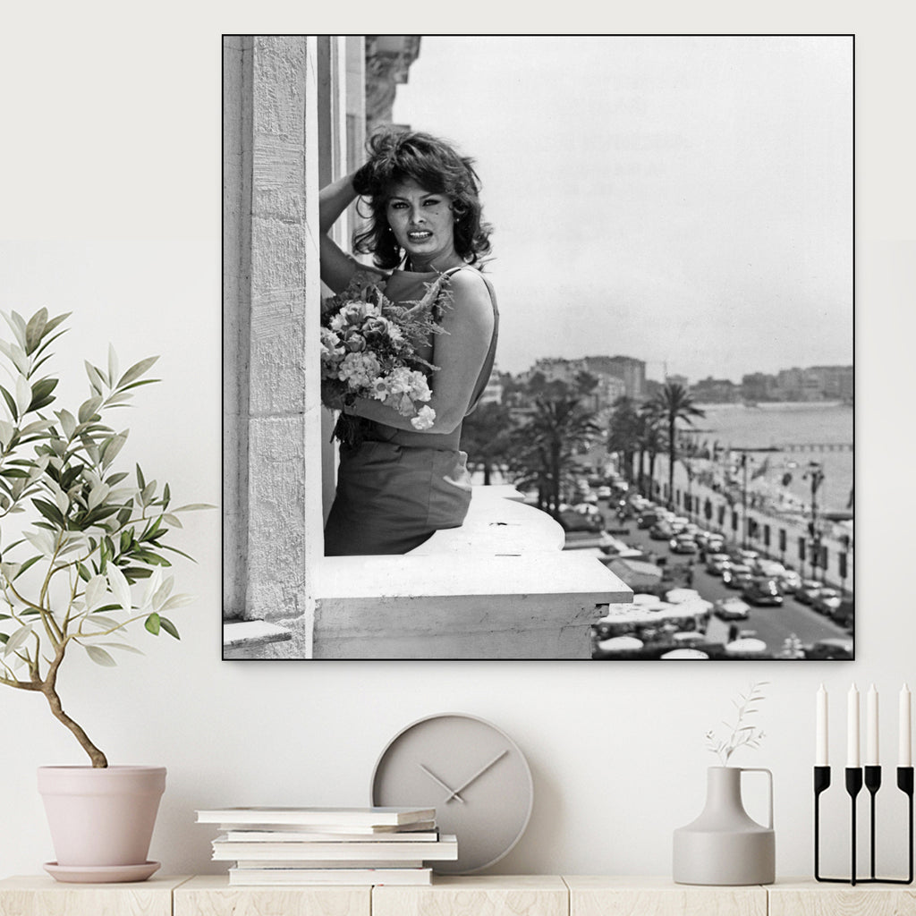 Sophia Loren during Cannes Festival on May 13, 1959 at The Balcony of Carlton Hotel by Bridgeman Images on GIANT ART - black and white photography