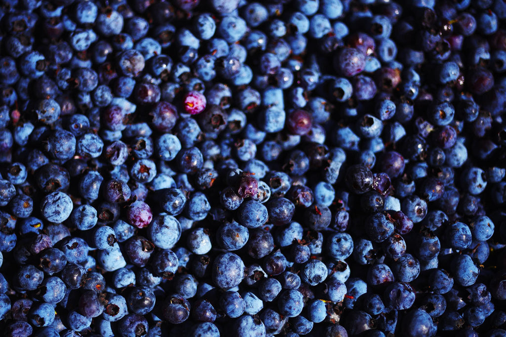 Blueberries II par Peter Morneau sur GIANT ART - art photo bleu