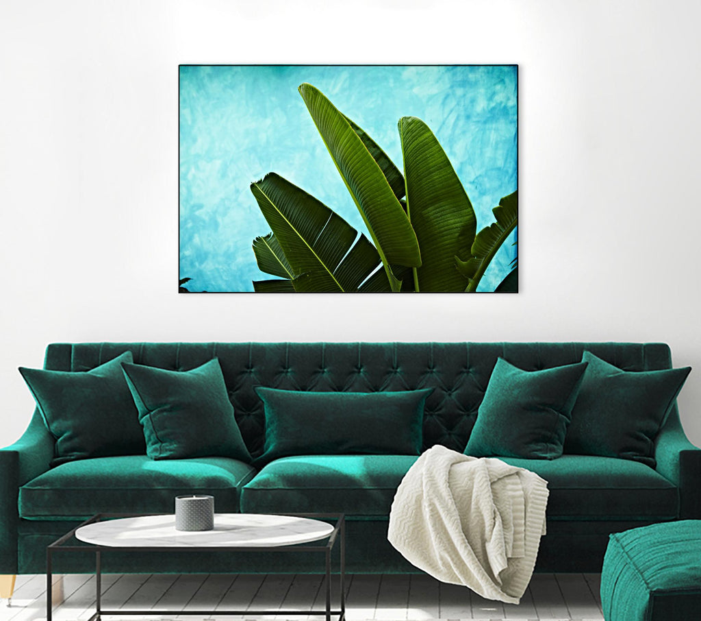 Tropical III de Peter Morneau sur GIANT ART - art photo vert