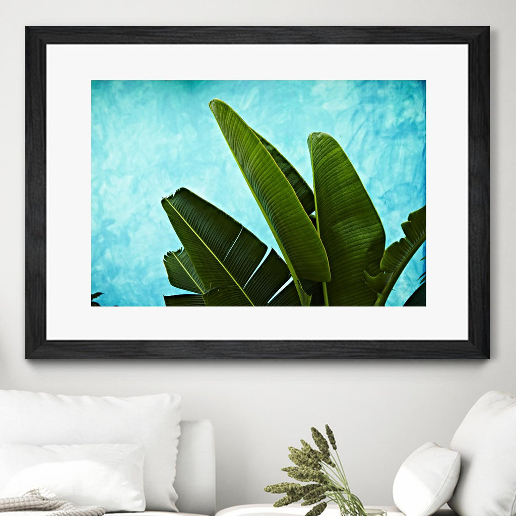 Tropical III de Peter Morneau sur GIANT ART - art photo vert