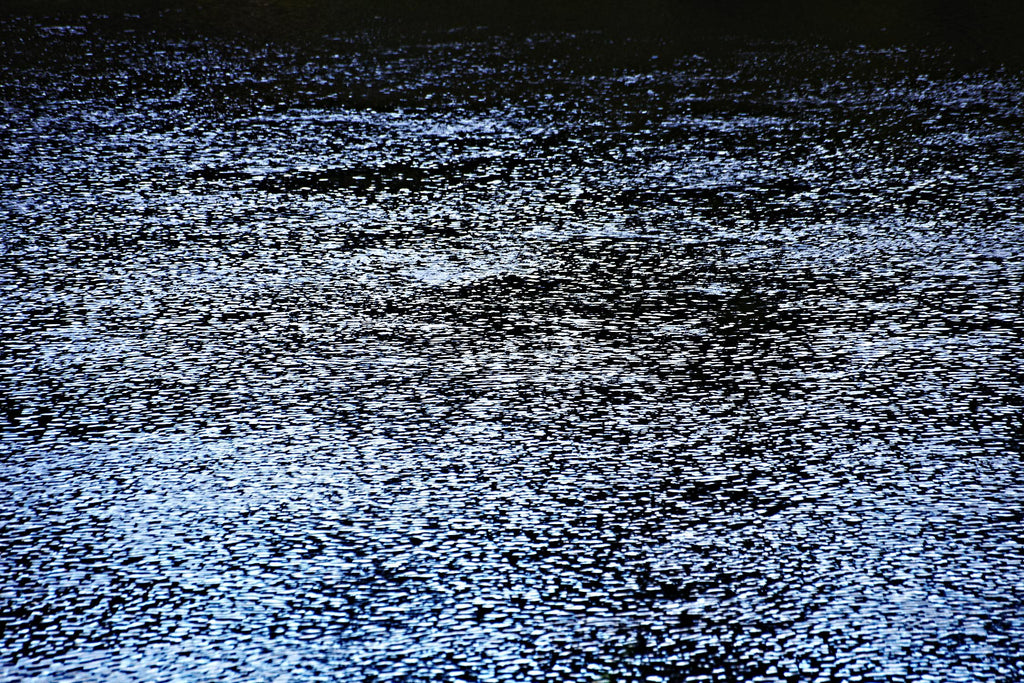 Water par Peter Morneau sur GIANT ART - black photo art