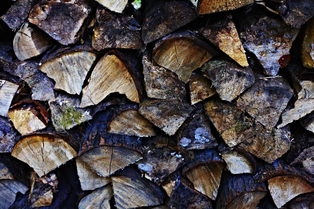 Wood I  de Peter Morneau sur GIANT ART - art photo bleu