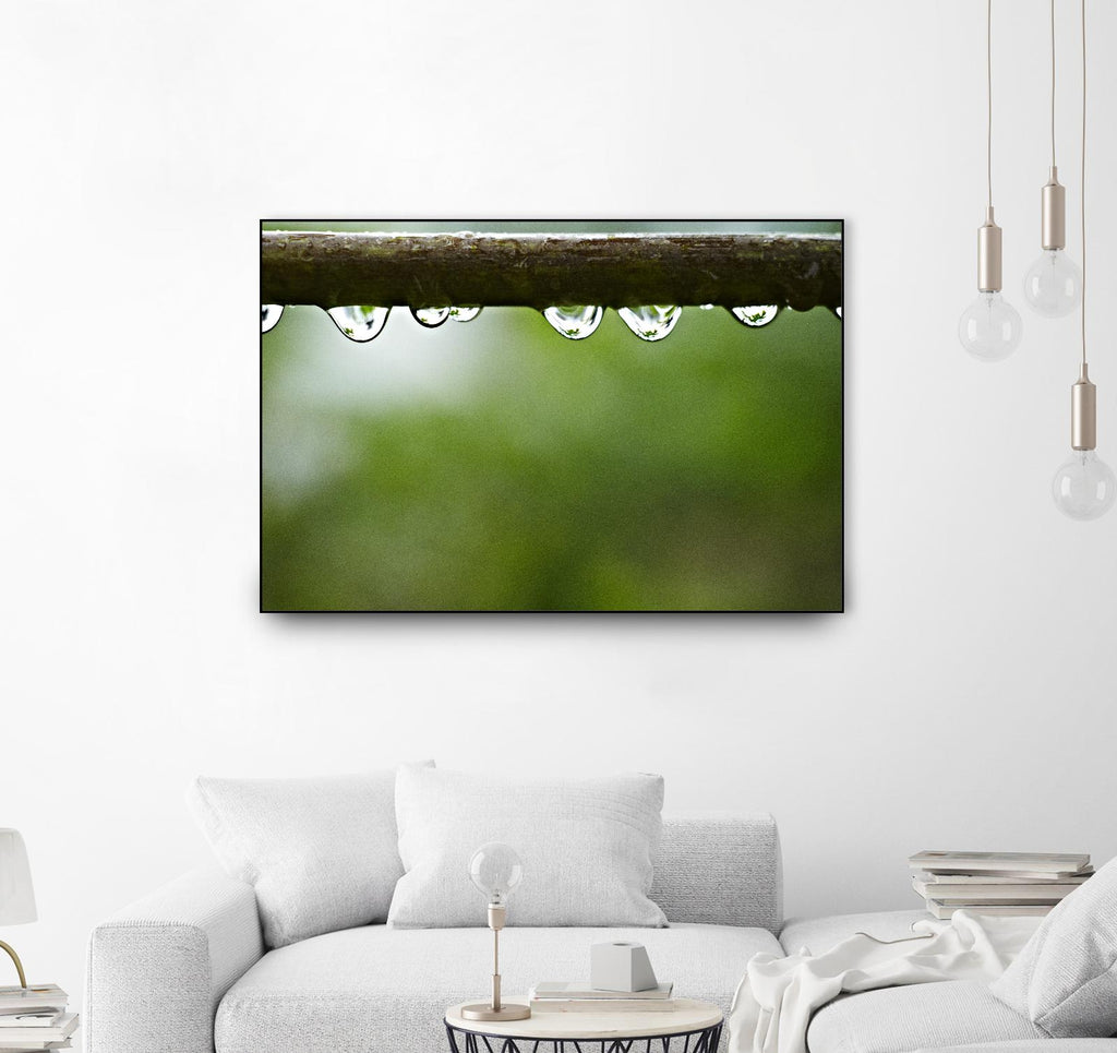 Drops of water II par Peter Morneau sur GIANT ART - art photo brun
