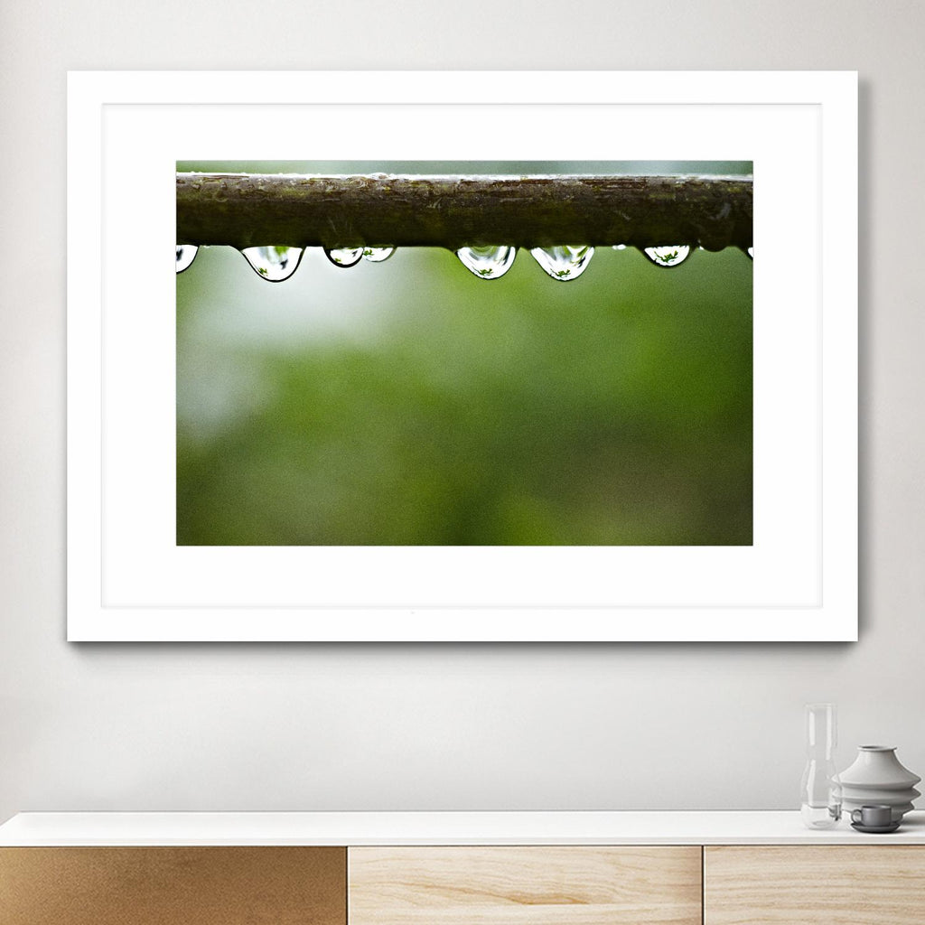 Drops of water II par Peter Morneau sur GIANT ART - art photo brun