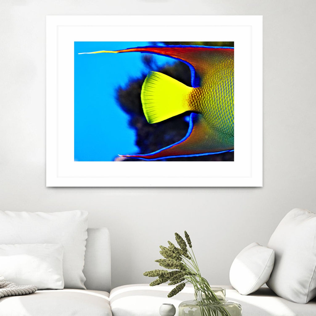 Yellow Fish par Peter Morneau sur GIANT ART - art photo jaune