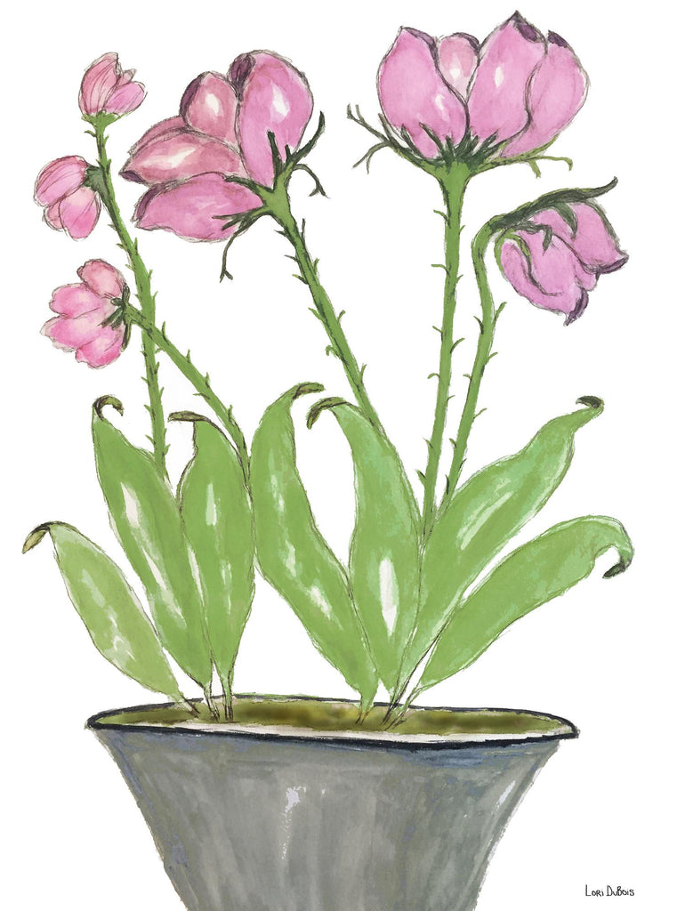 Suite de l'été - Rose -2 par Lori Dubois sur GIANT ART - plante botanique rose dans un pot