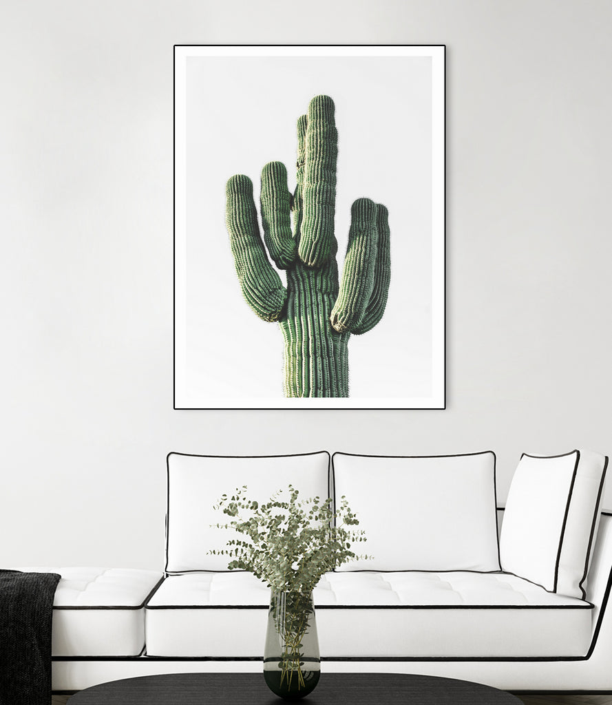 Le Cactus by Clicart Studio on GIANT ART