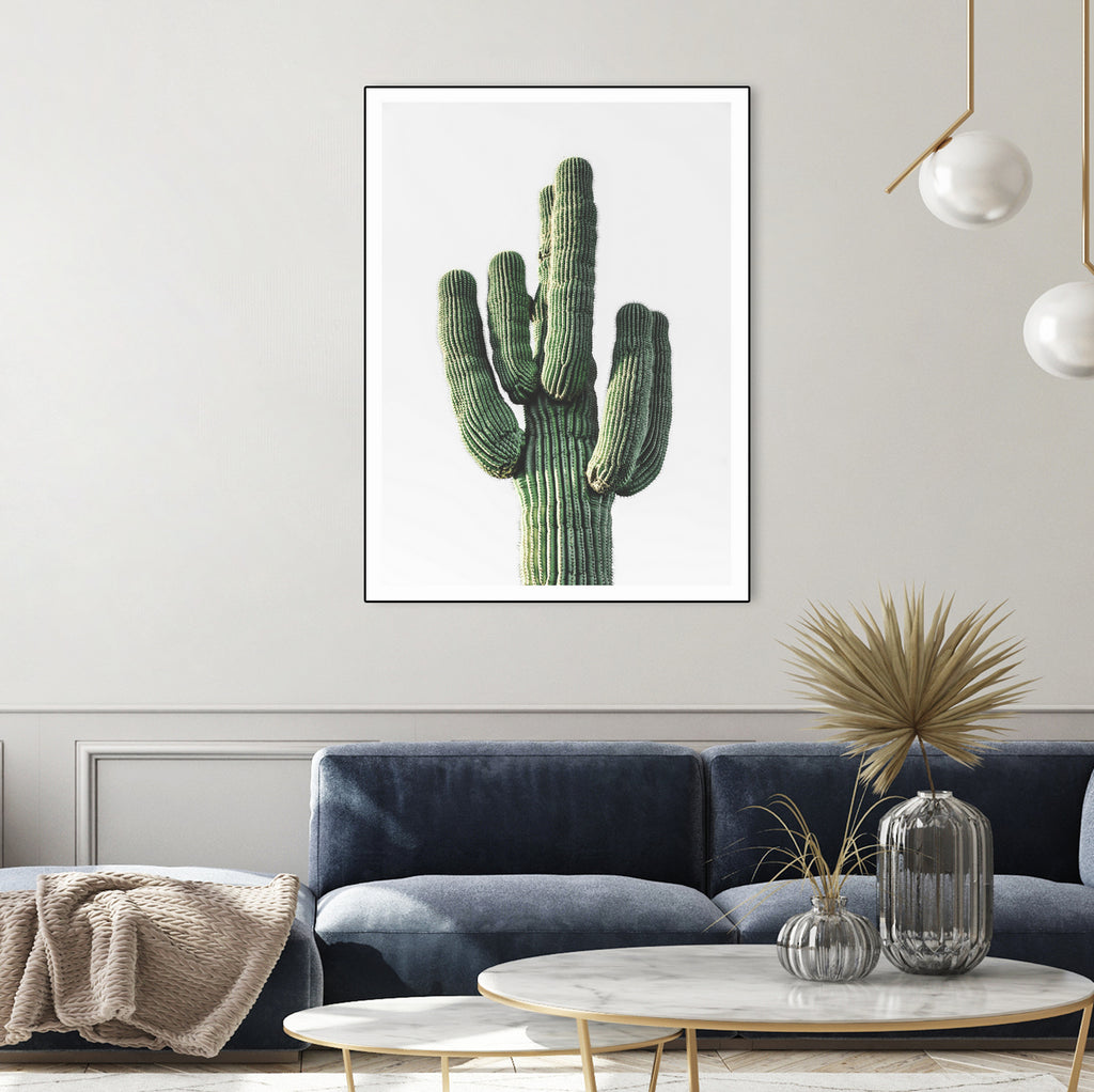 Le Cactus by Clicart Studio on GIANT ART