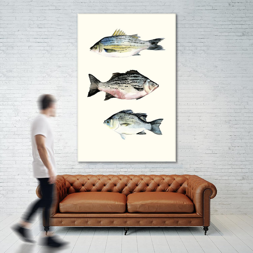 Groupement de poissons 2 par Natasha Marie sur GIANT ART - animaux gris