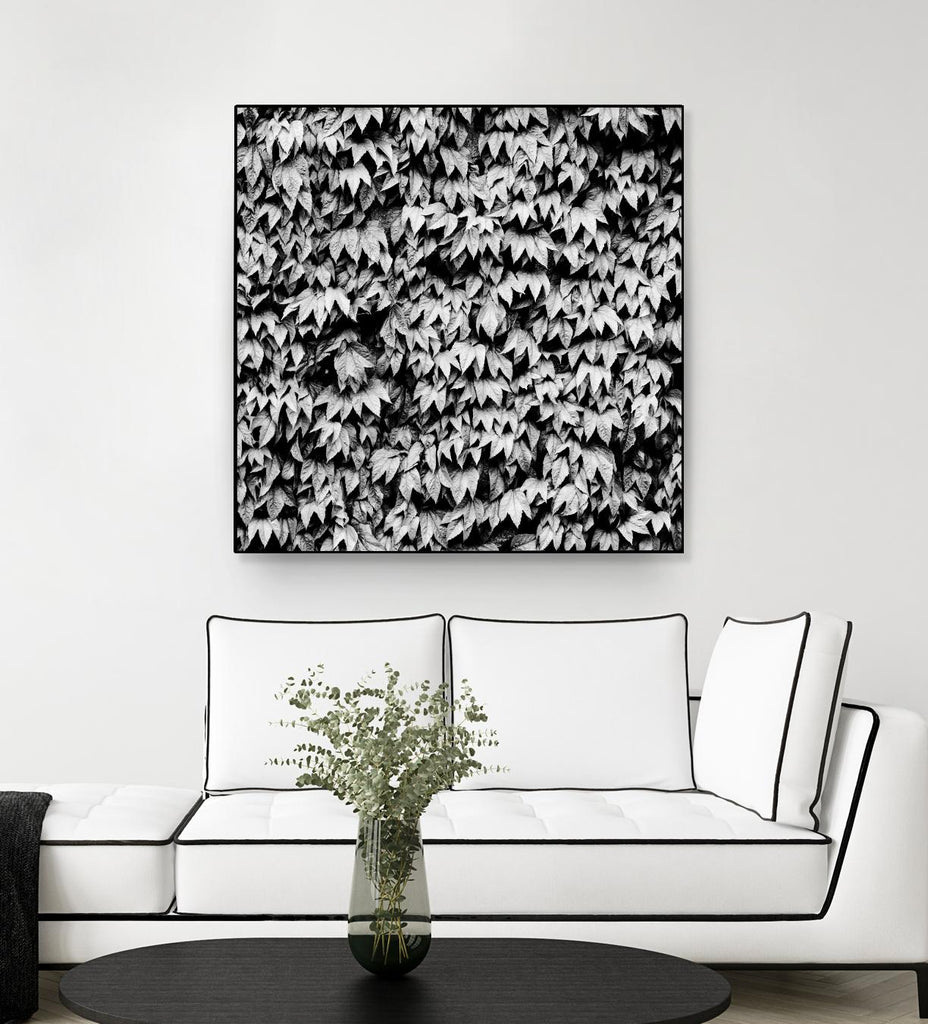 Wall of Leaves de Kyle Goldie sur GIANT ART - art photo blanc