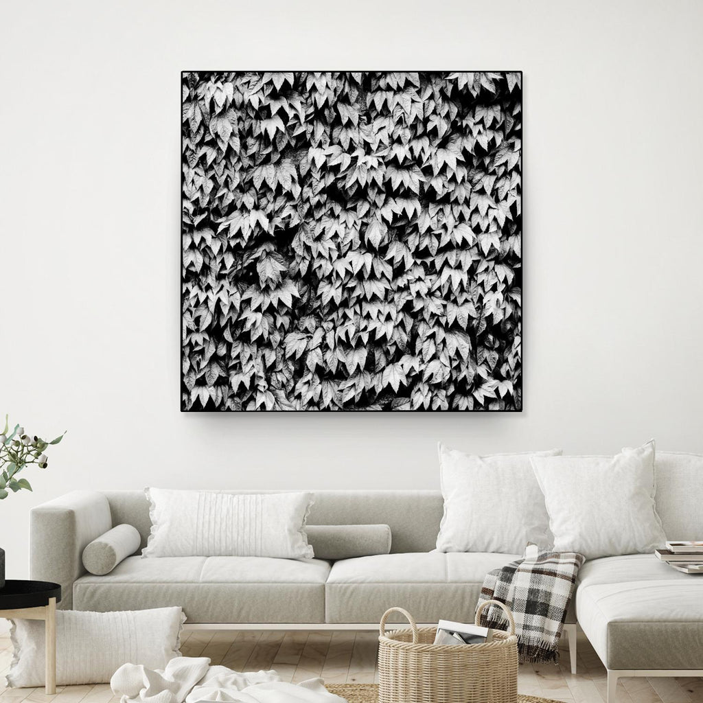 Wall of Leaves de Kyle Goldie sur GIANT ART - art photo blanc