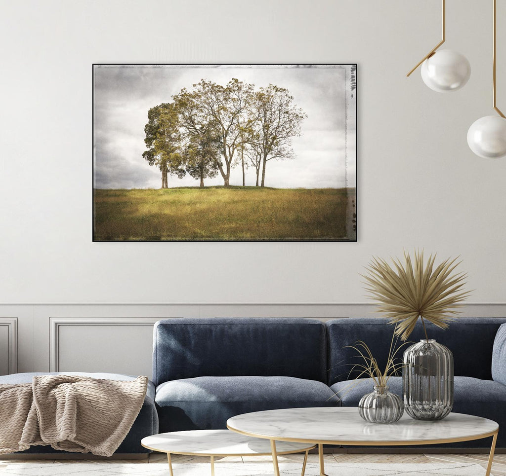 Trois arbres de Lillis Werder sur GIANT ART - paysage en or