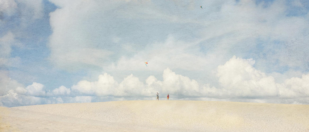 Go Fly a Kite de Lillis Werder sur GIANT ART - beige abstrait