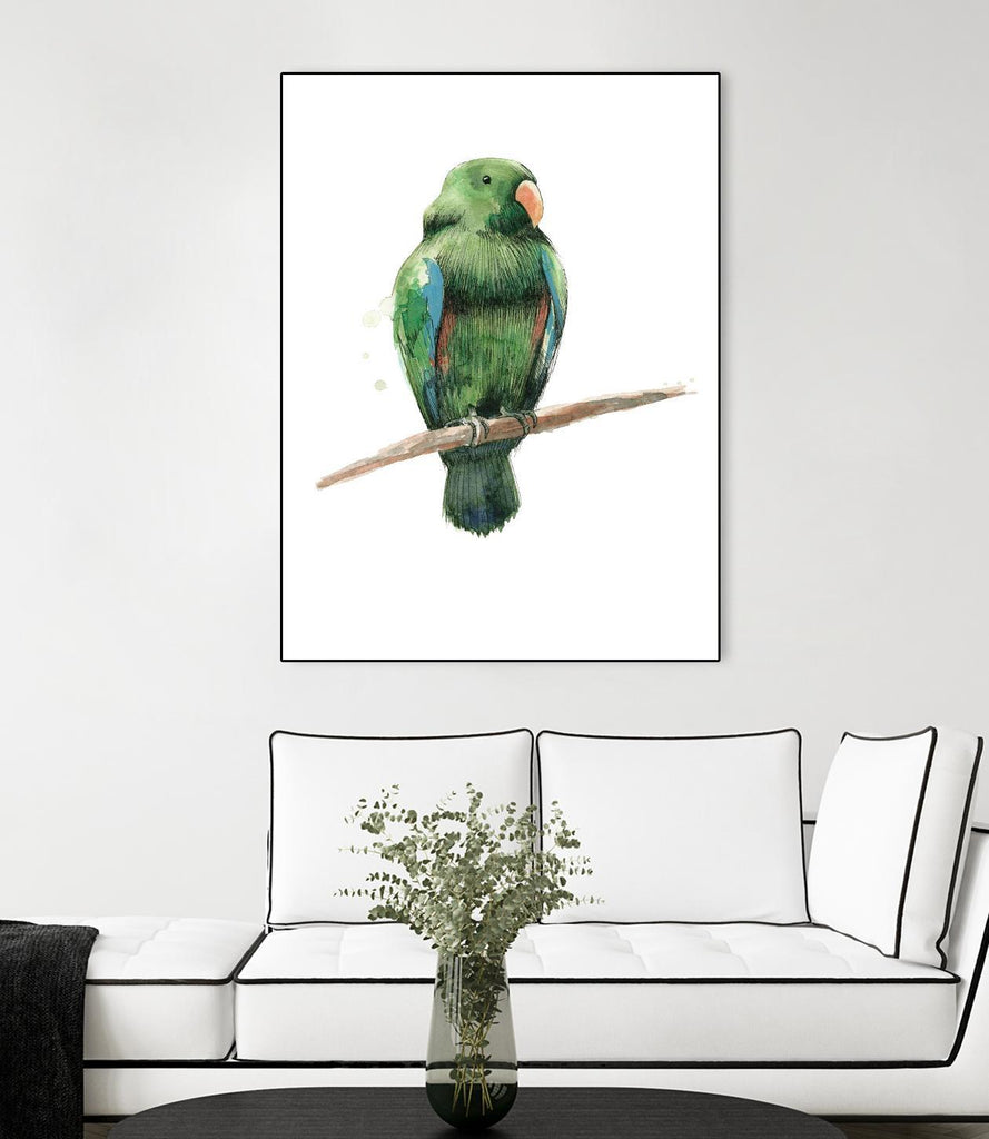 Oiseau 3 par Harvey, Brenna Harvey sur GIANT ART - animaux verts oiseau