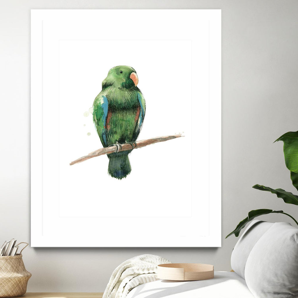 Bird 3 by Harvey, Brenna Harvey on GIANT ART - green animal bird