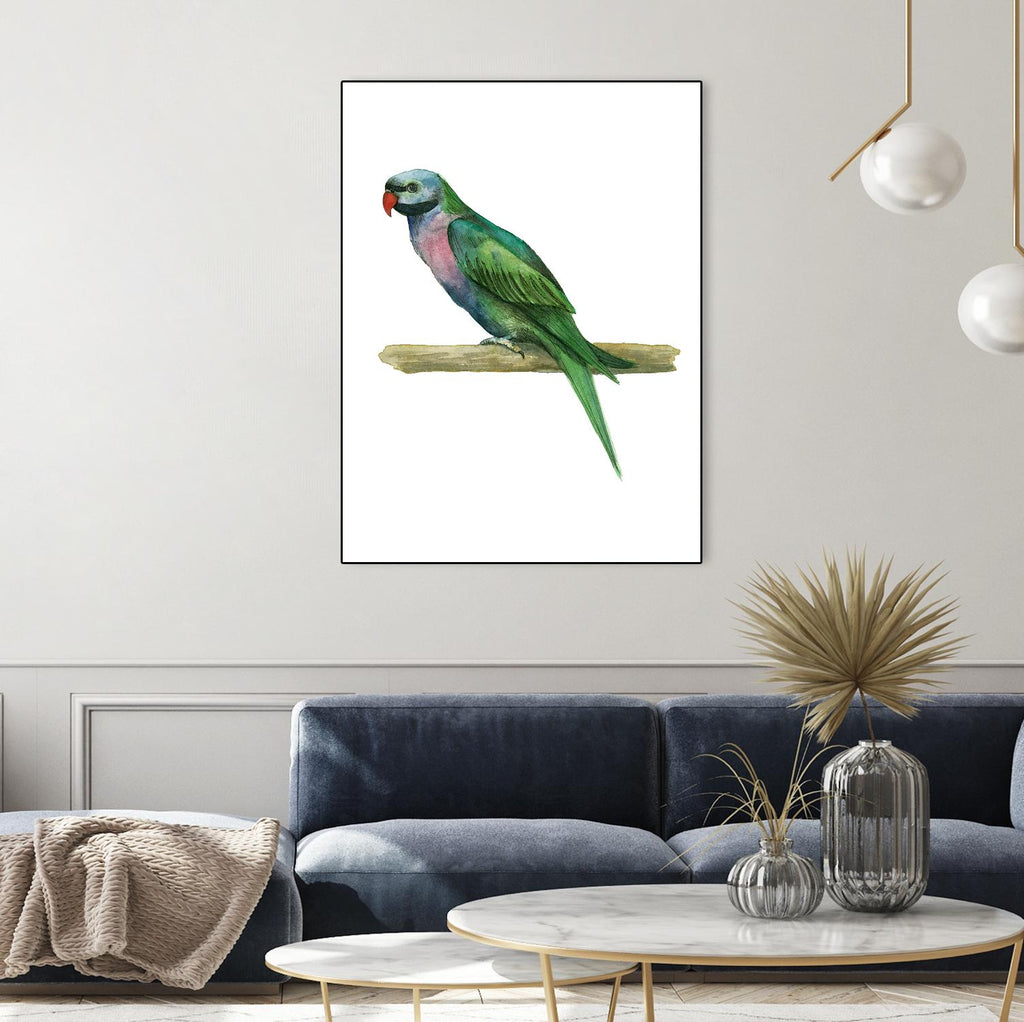 Oiseau 4 par Harvey, Brenna Harvey sur GIANT ART - oiseaux animaux bleus