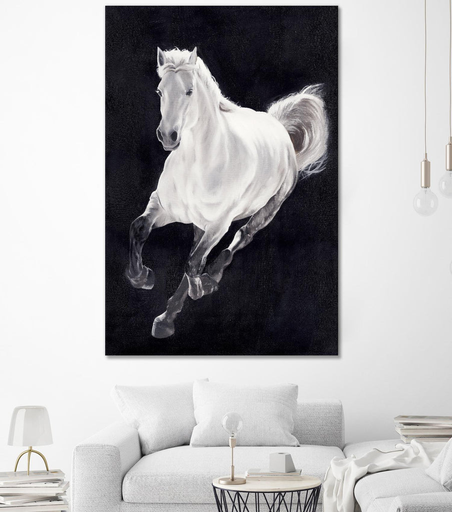 Cheval blanc par Stefano Altamura sur GIANT ART - animaux blancs