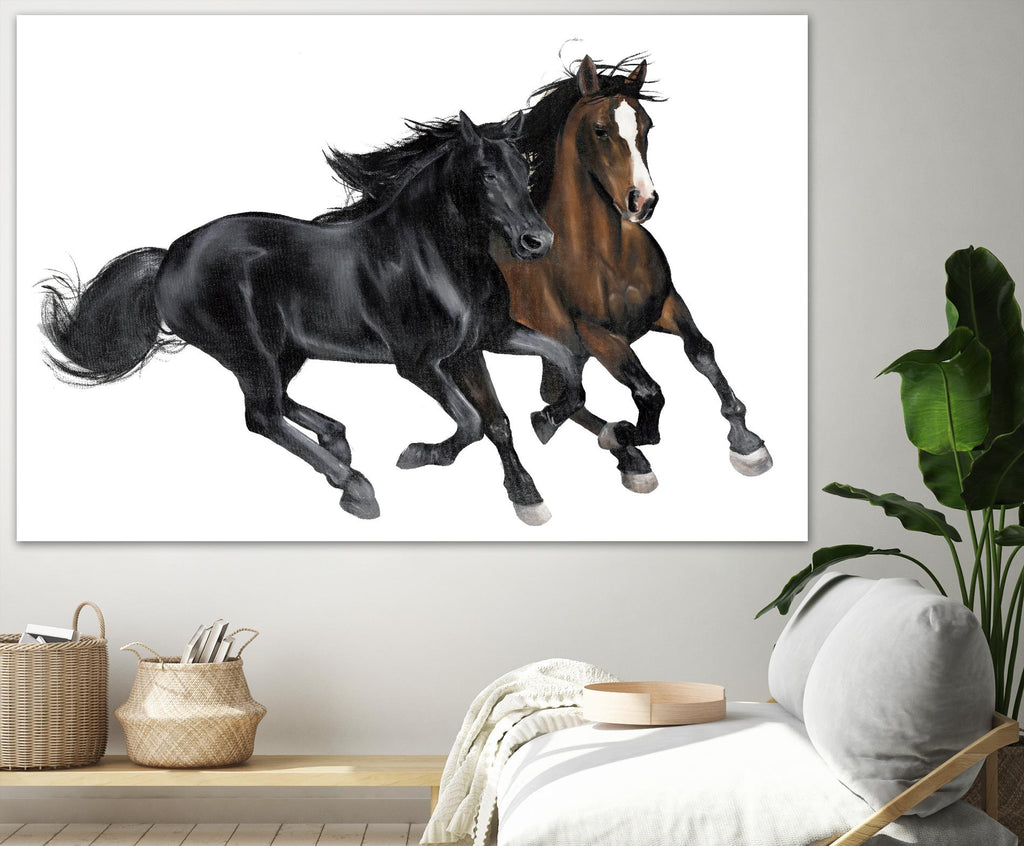 Black & Brown Horse par Stefano Altamura sur GIANT ART - animaux bruns