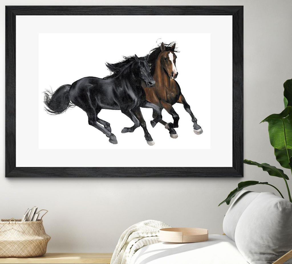Black & Brown Horse by Stefano Altamura on GIANT ART - white black & white horse
