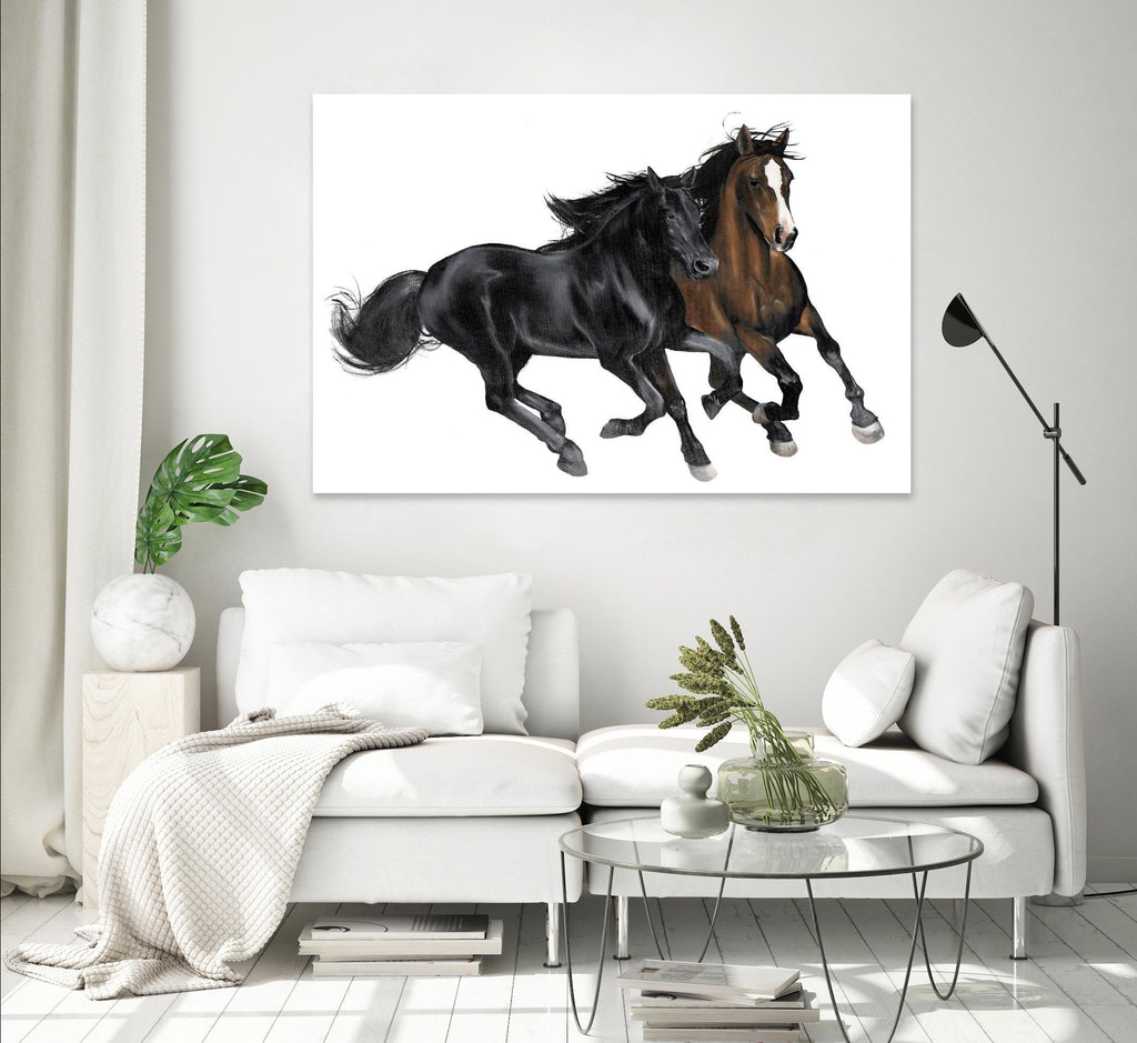 Black & Brown Horse by Stefano Altamura on GIANT ART - white black & white horse