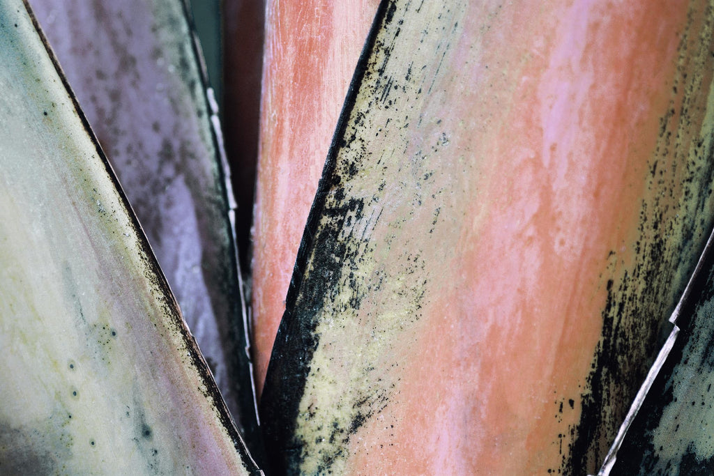 Feuilles de palmier contemporaines 1 par THE Studio sur GIANT ART - brun contemporain