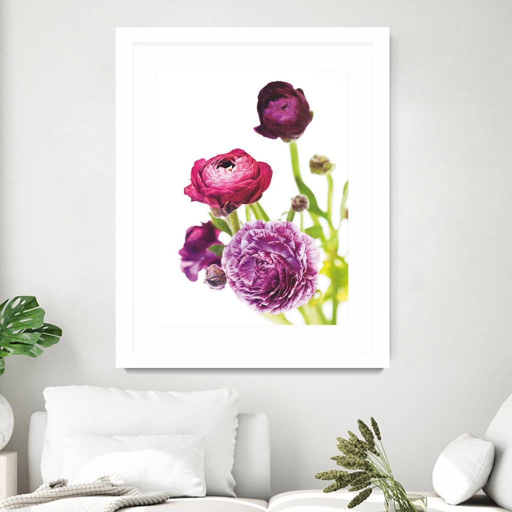 Spring Ranunculus VI par Laura Marshall sur GIANT ART - vert floral