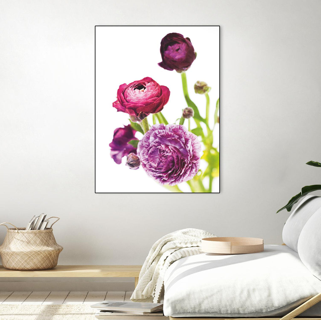 Spring Ranunculus VI par Laura Marshall sur GIANT ART - vert floral