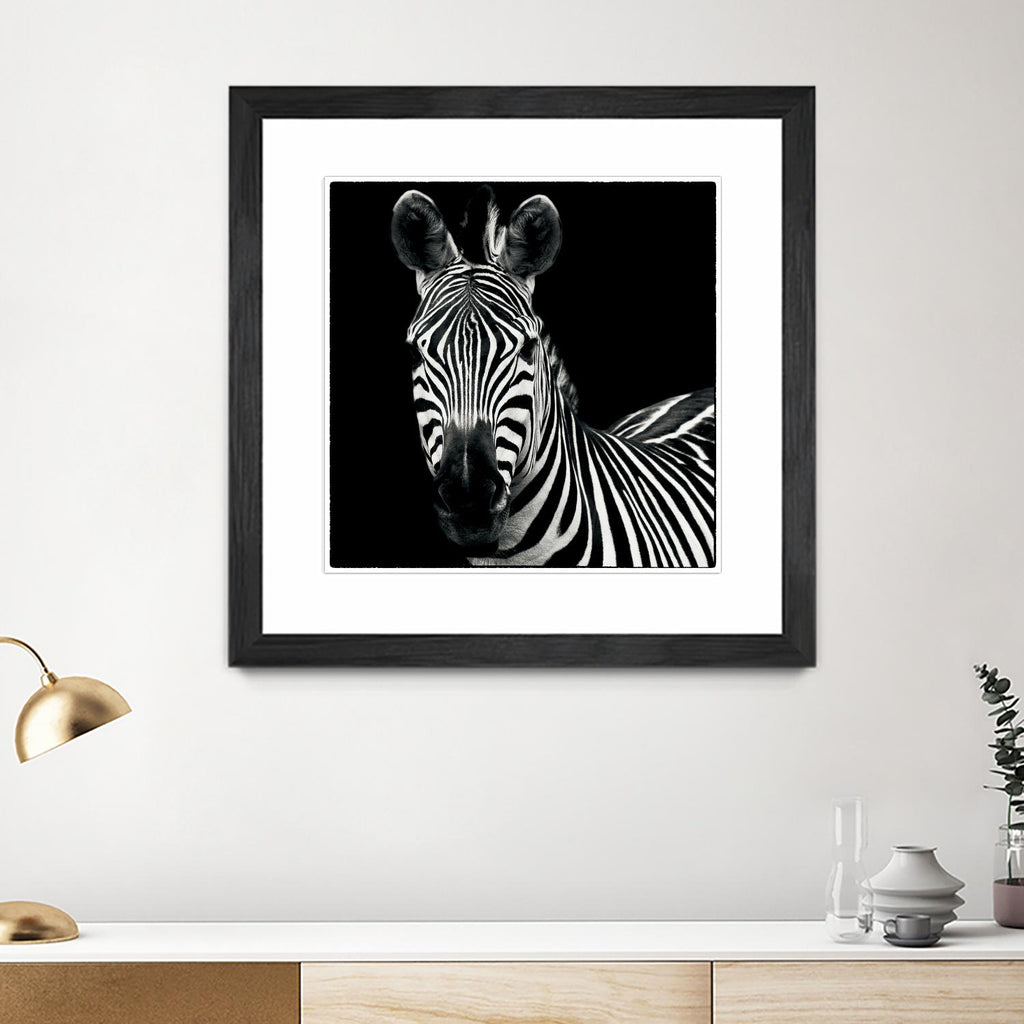 Zebra II par Debra Van Swearingen sur GIANT ART - animaux blancs