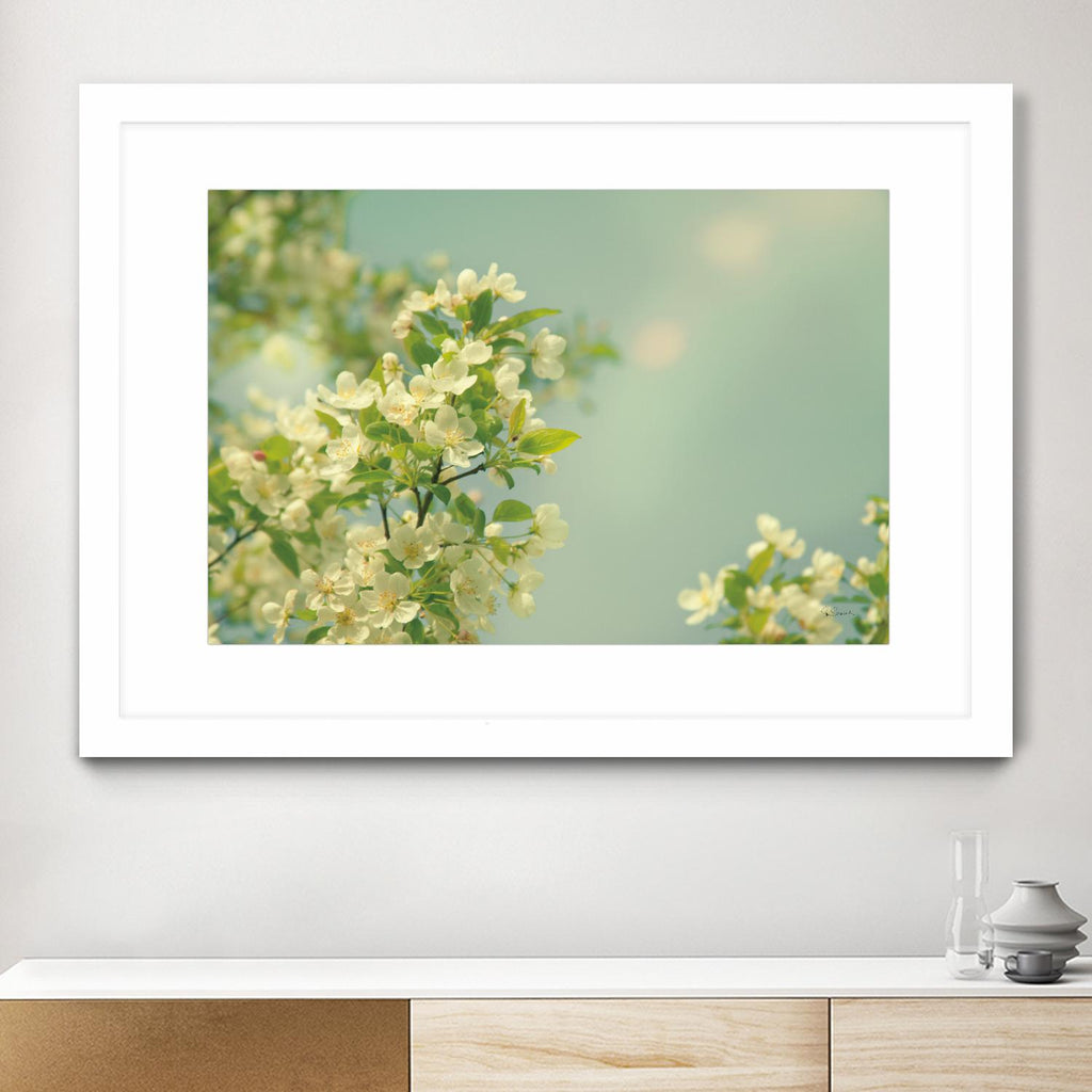 Spring Beauty I by Sue Schlabach on GIANT ART - white floral