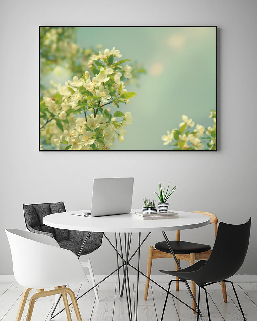 Spring Beauty I by Sue Schlabach on GIANT ART - white floral