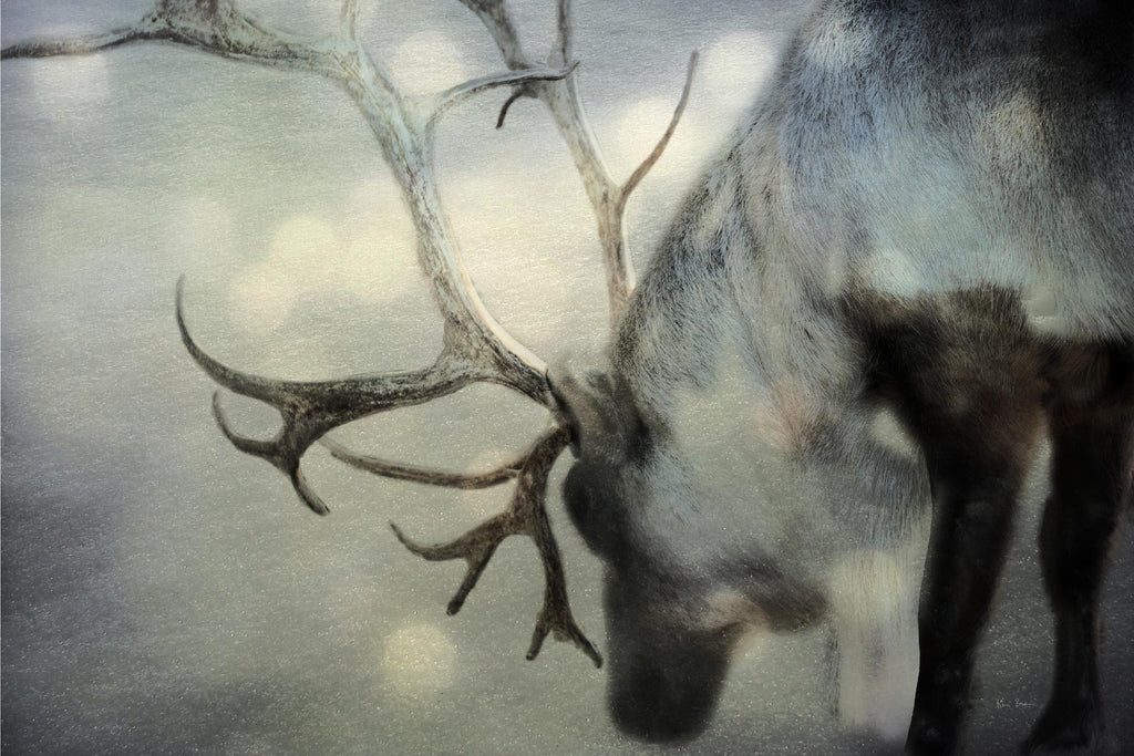 If On a Winters Night Crop de Keri Bevan sur GIANT ART - animaux gris