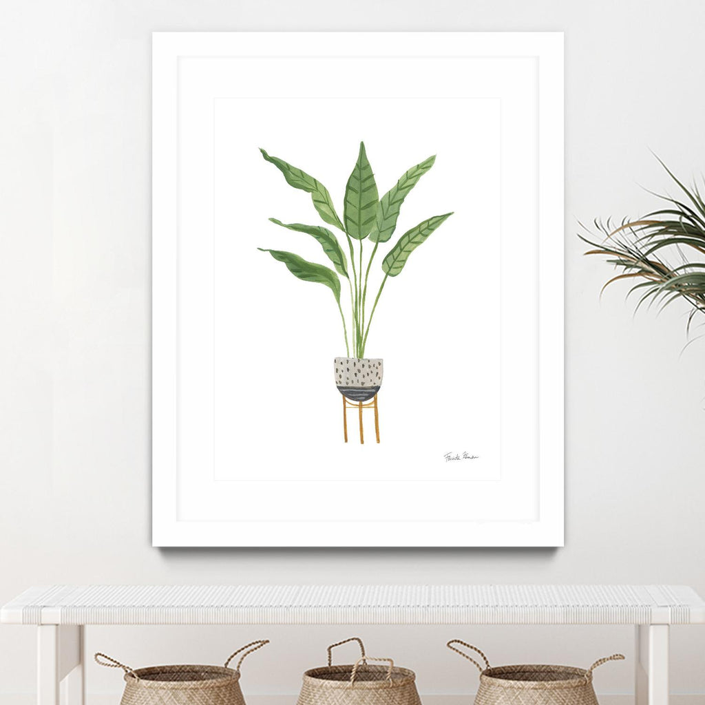 Green House Plants III by Farida Zaman sur GIANT ART - gris botanique