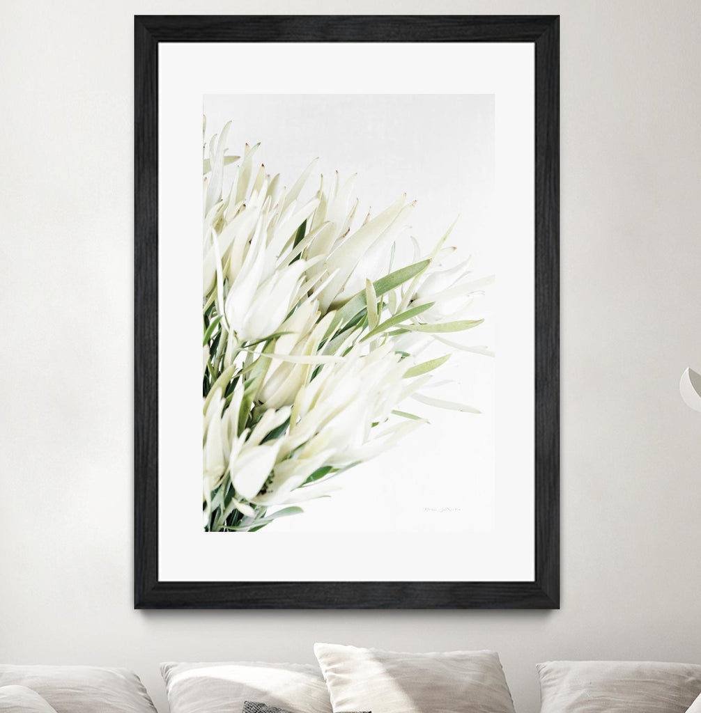 Leucadendron  par Elise Catterall sur GIANT ART - bouquets multifloraux