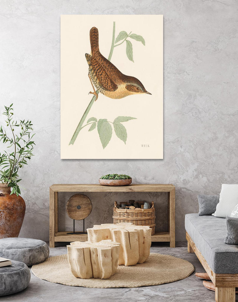 Engraved Birds I by Wild Apple Portfolio on GIANT ART - animals animal