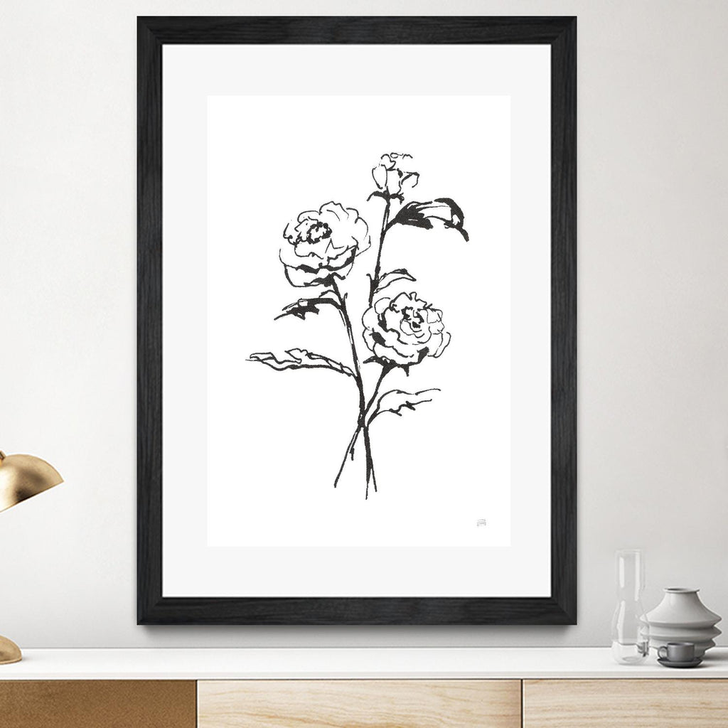 Line Ranunculus I de Chris Paschke sur GIANT ART - floral noir