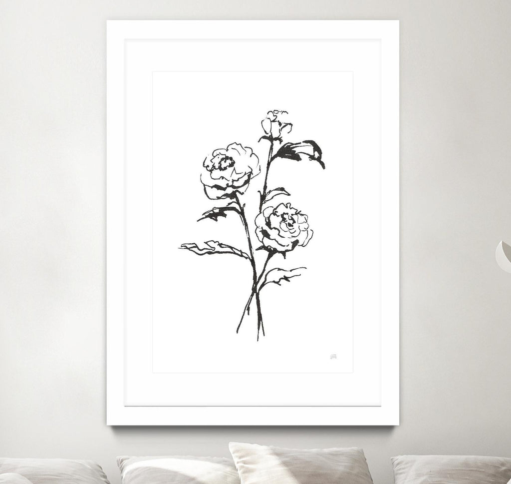 Line Ranunculus I de Chris Paschke sur GIANT ART - floral noir