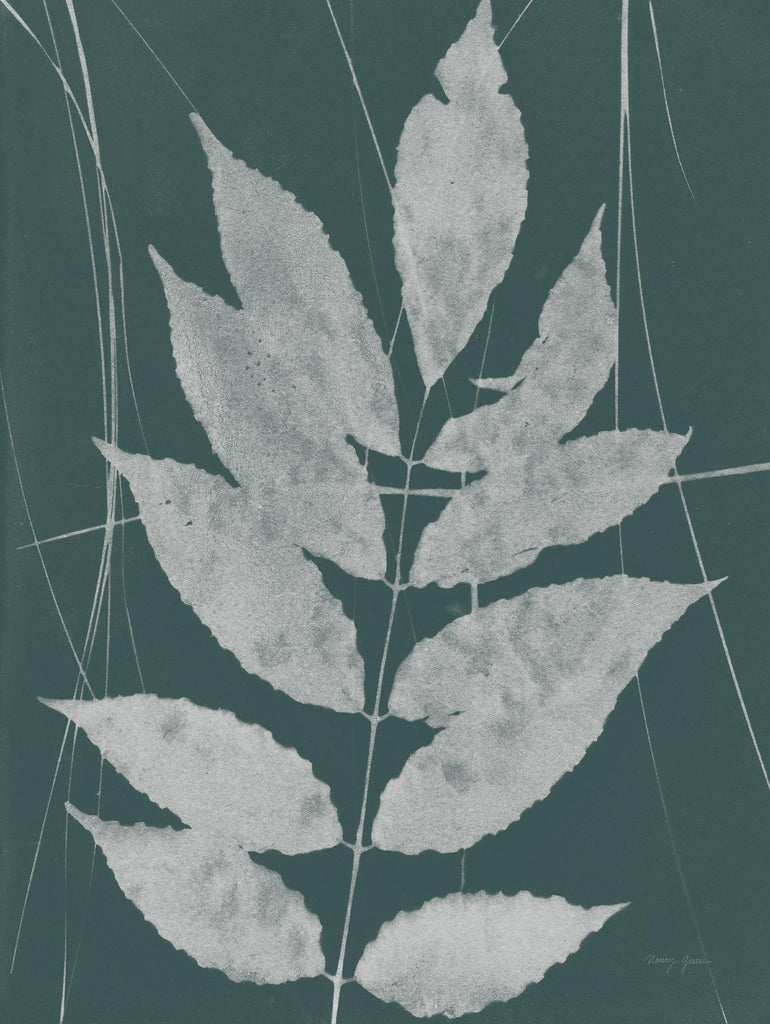 Enchanted Fall Cyanotype IX par Nancy Green sur GIANT ART - botanique botanique