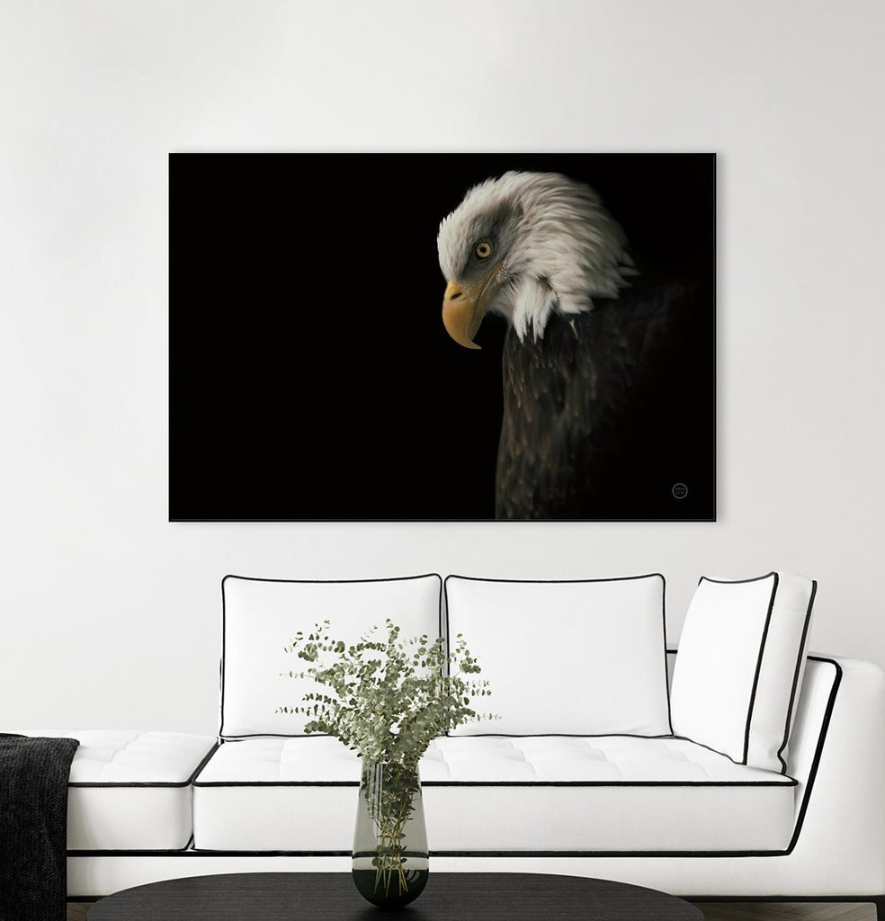 Eagle Bow par Nathan Larson sur GIANT ART - animaux aigle américain