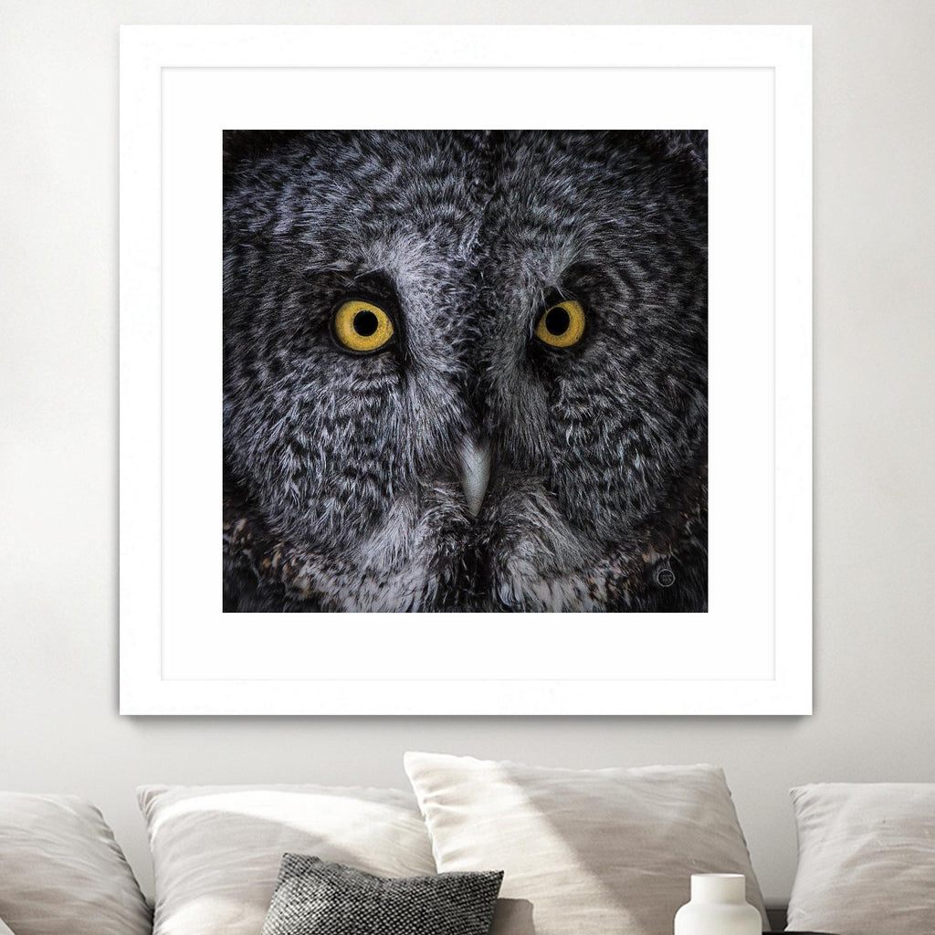 Great Grey Owl par Nathan Larson sur GIANT ART - animaux animaux
