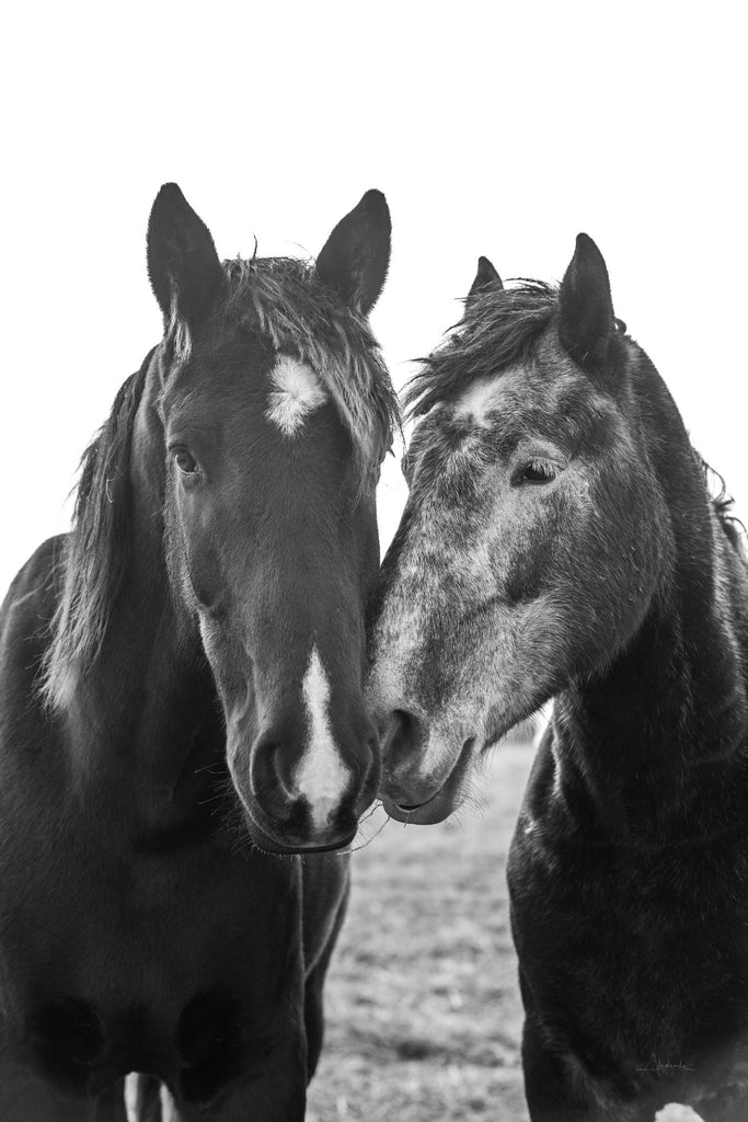 Good Friends Mane by Aledanda on GIANT ART - animals amish horses