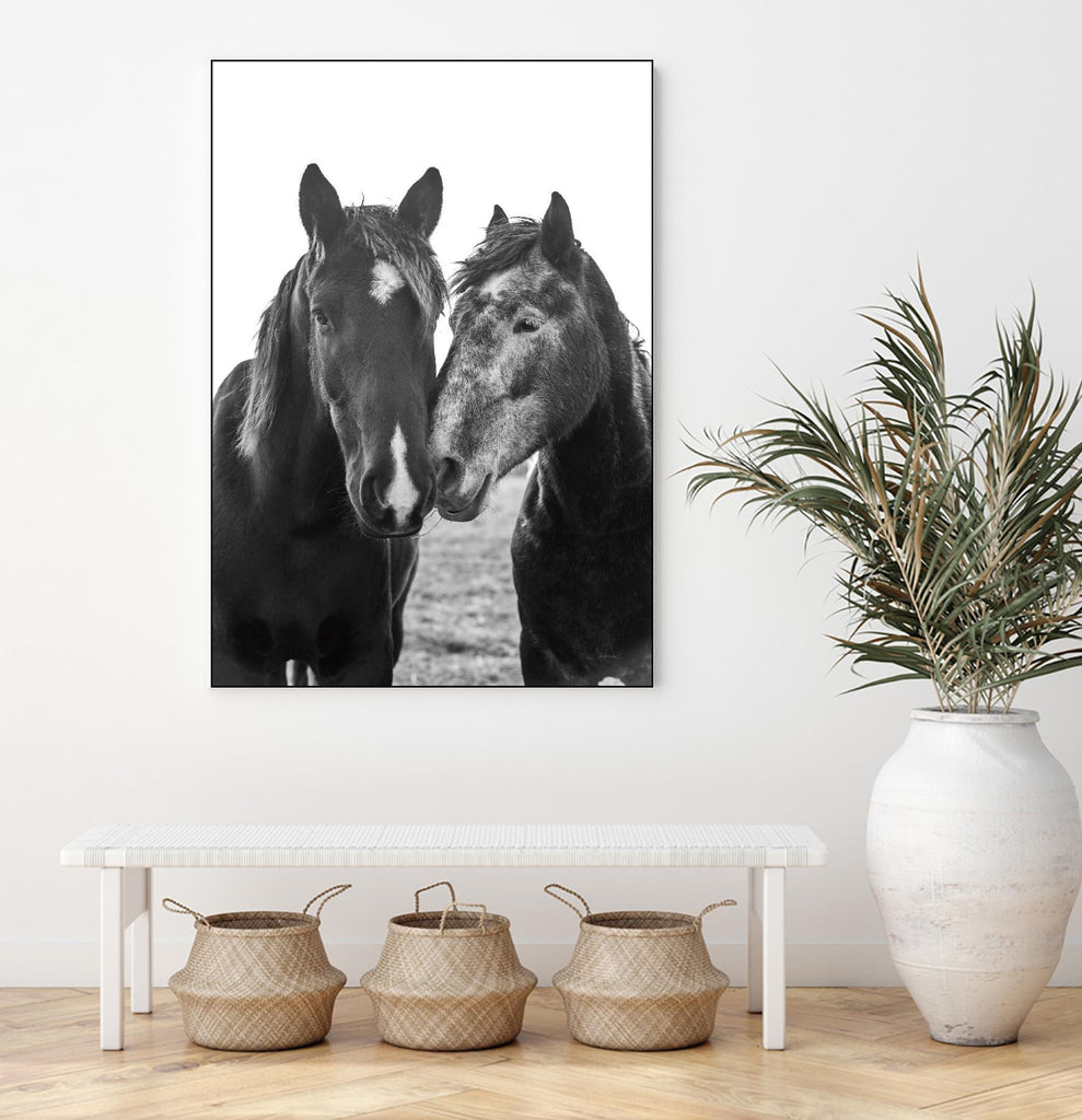 Good Friends Mane par Aledanda sur GIANT ART - animaux amish chevaux