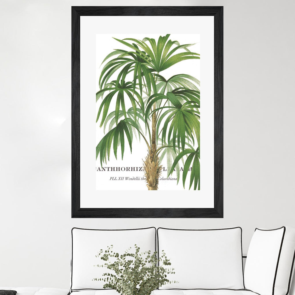 Riviera Palms II par Studio on GIANT ART - vert tropical