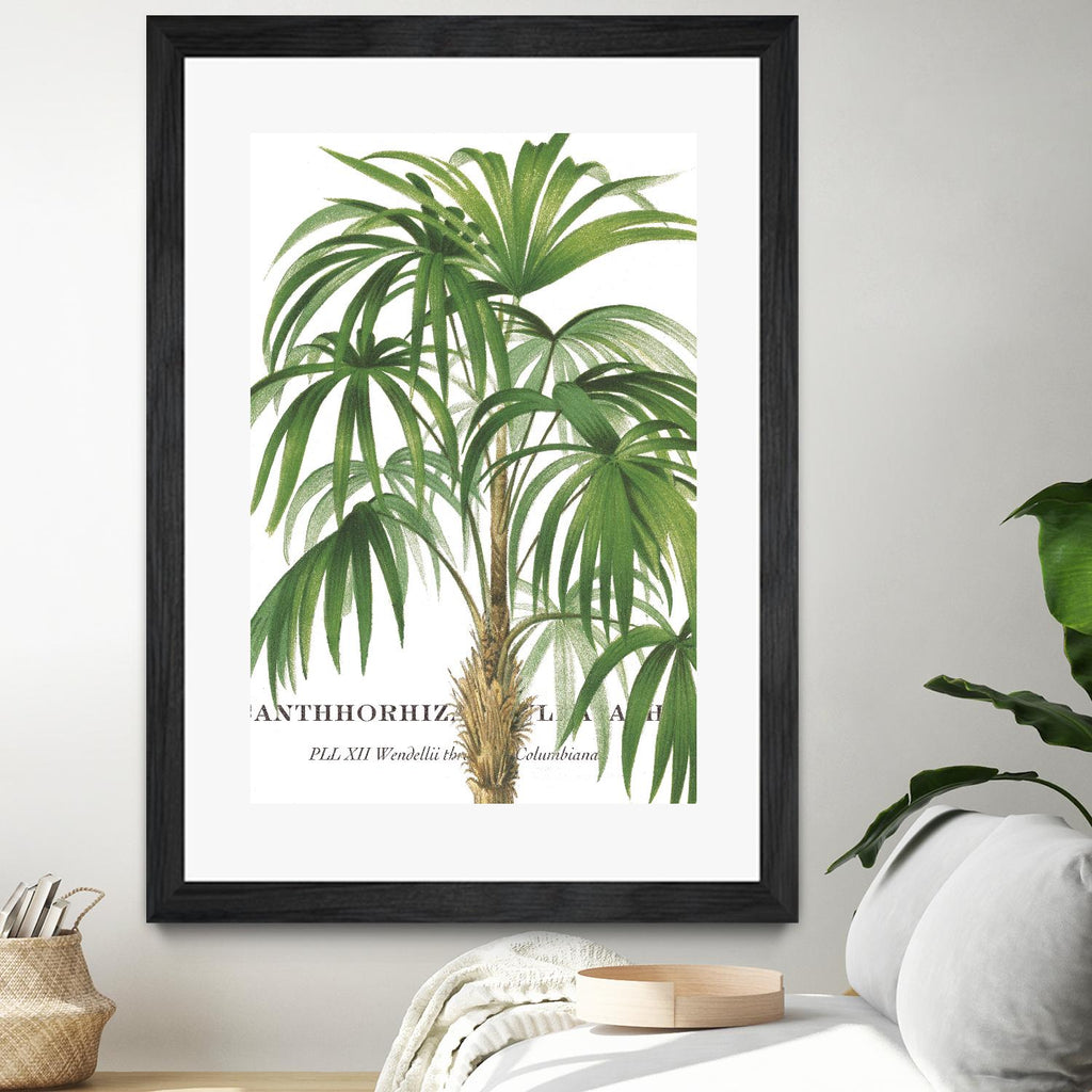 Riviera Palms II par Studio on GIANT ART - vert tropical