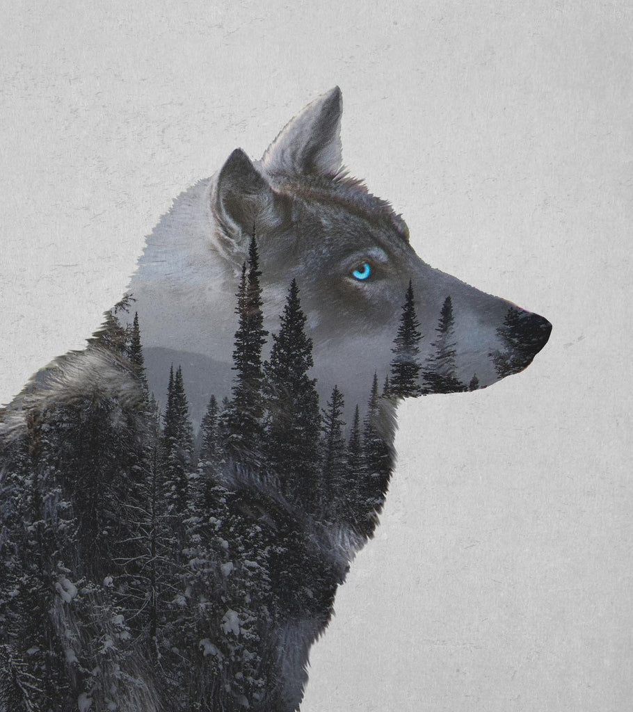 Winter Wolf par Davies Babies sur GIANT ART - animaux multicolores ; contemporain