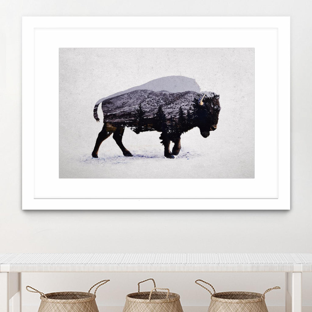 The American Bison by Davies Babies on GIANT ART - white animals