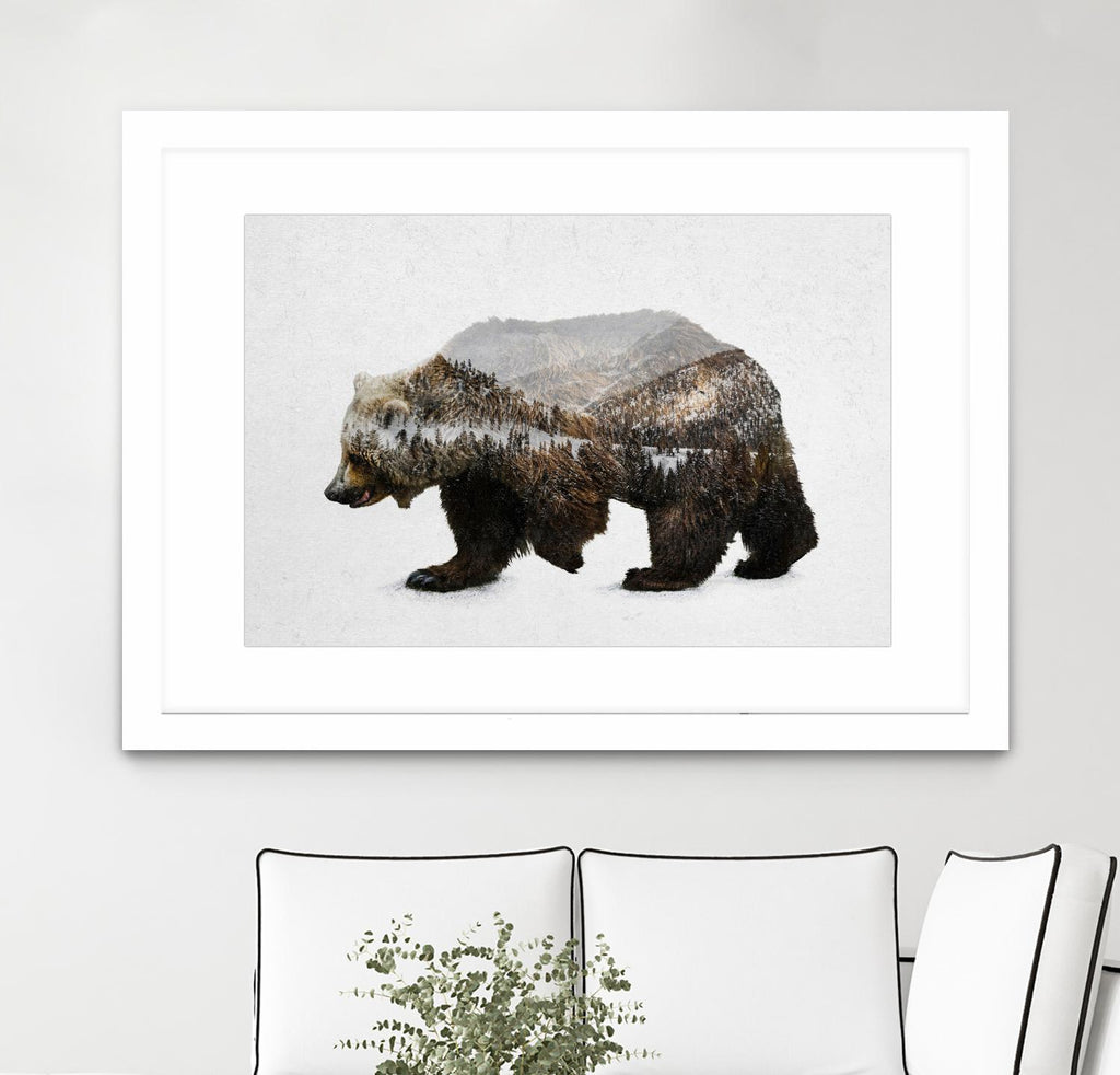 The Kodiak Brown Bear par Davies Babies sur GIANT ART - animaux blancs