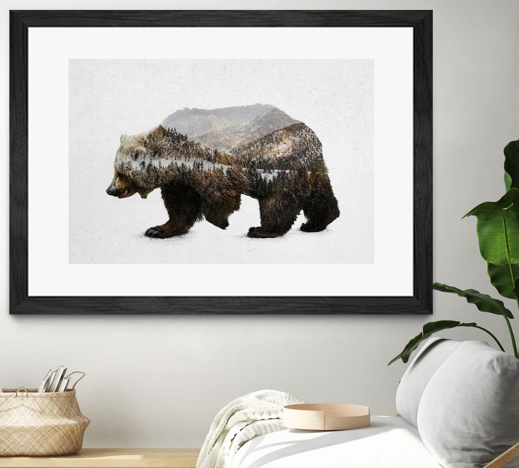 The Kodiak Brown Bear par Davies Babies sur GIANT ART - animaux blancs