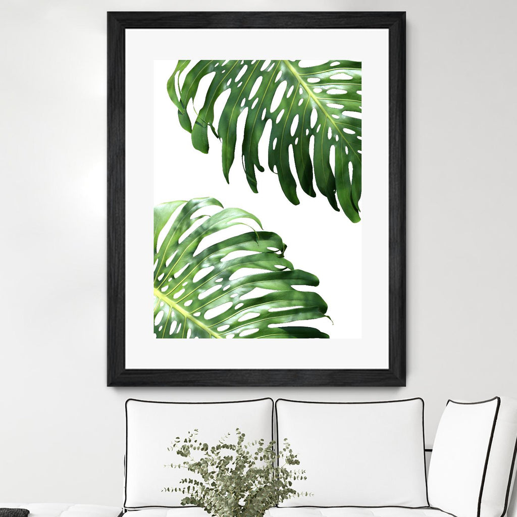 Double Philodendron (color) par Lexie Greer sur GIANT ART - feuilles botaniques vertes
