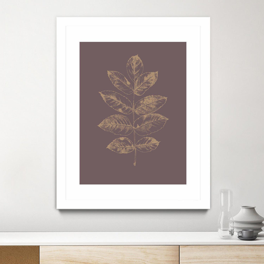 Botanica 2 par Design Fabrikken sur GIANT ART - floral/still life brun, botanique, feuilles, plantes