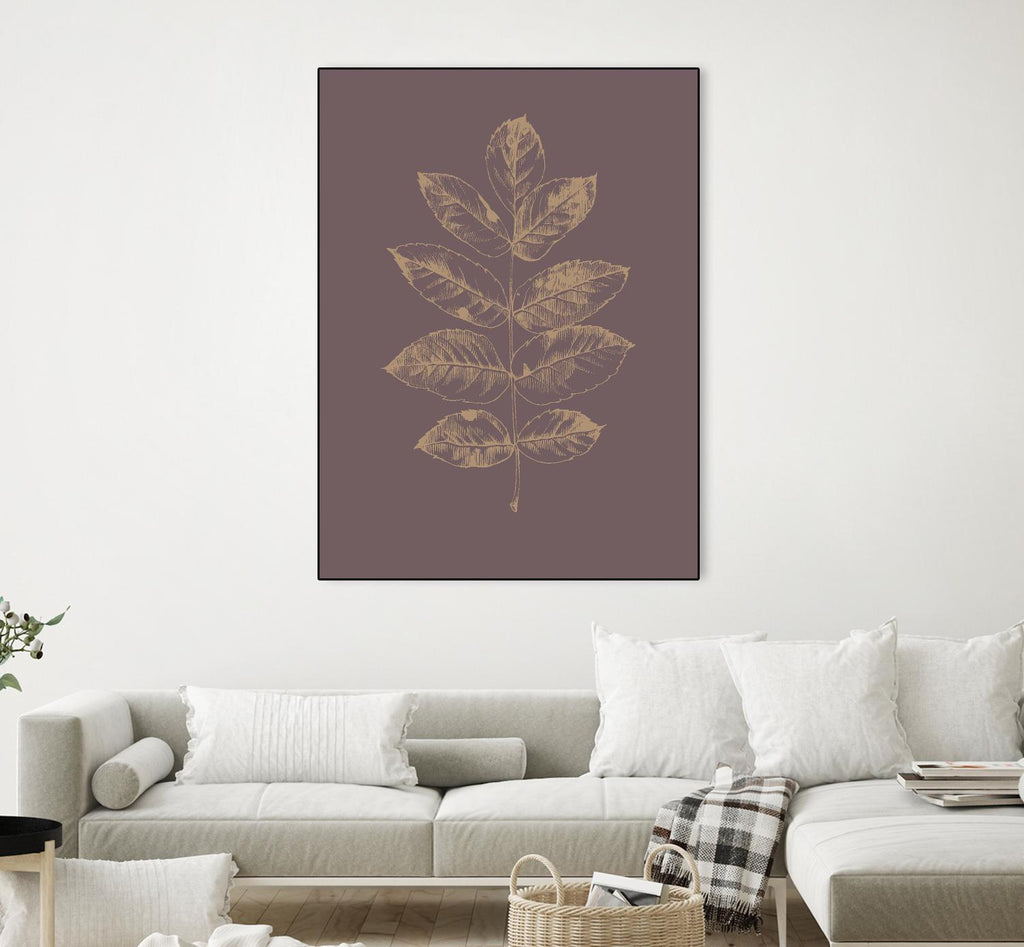 Botanica 2 par Design Fabrikken sur GIANT ART - floral/still life brun, botanique, feuilles, plantes